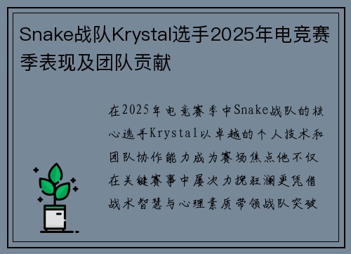 Snake战队Krystal选手2025年电竞赛季表现及团队贡献